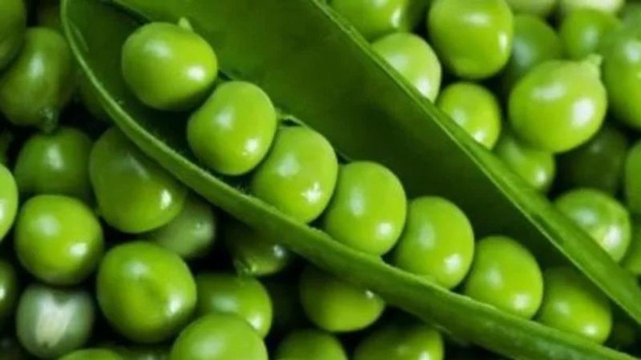 Rüyada Bezelye Görmek: Bereketin ve Sağlığın Sembolik Mesajları