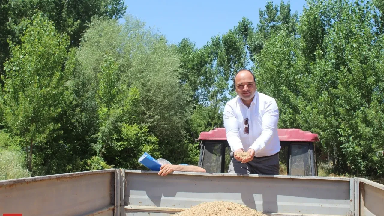 Tokat'ta yerli tohum çiftçilerin umudu oldu