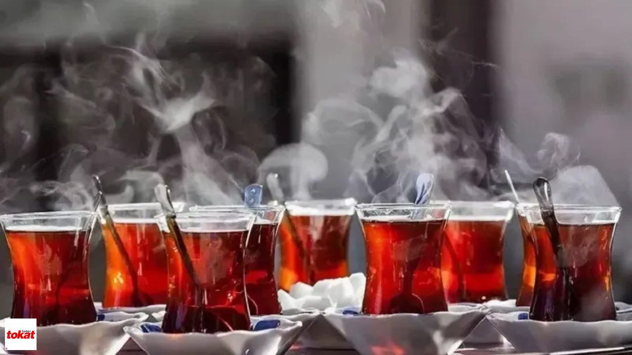 Kuru Çayda Yeni Dönem: Hasat Öncesi Fiyatlara Zam Geldi