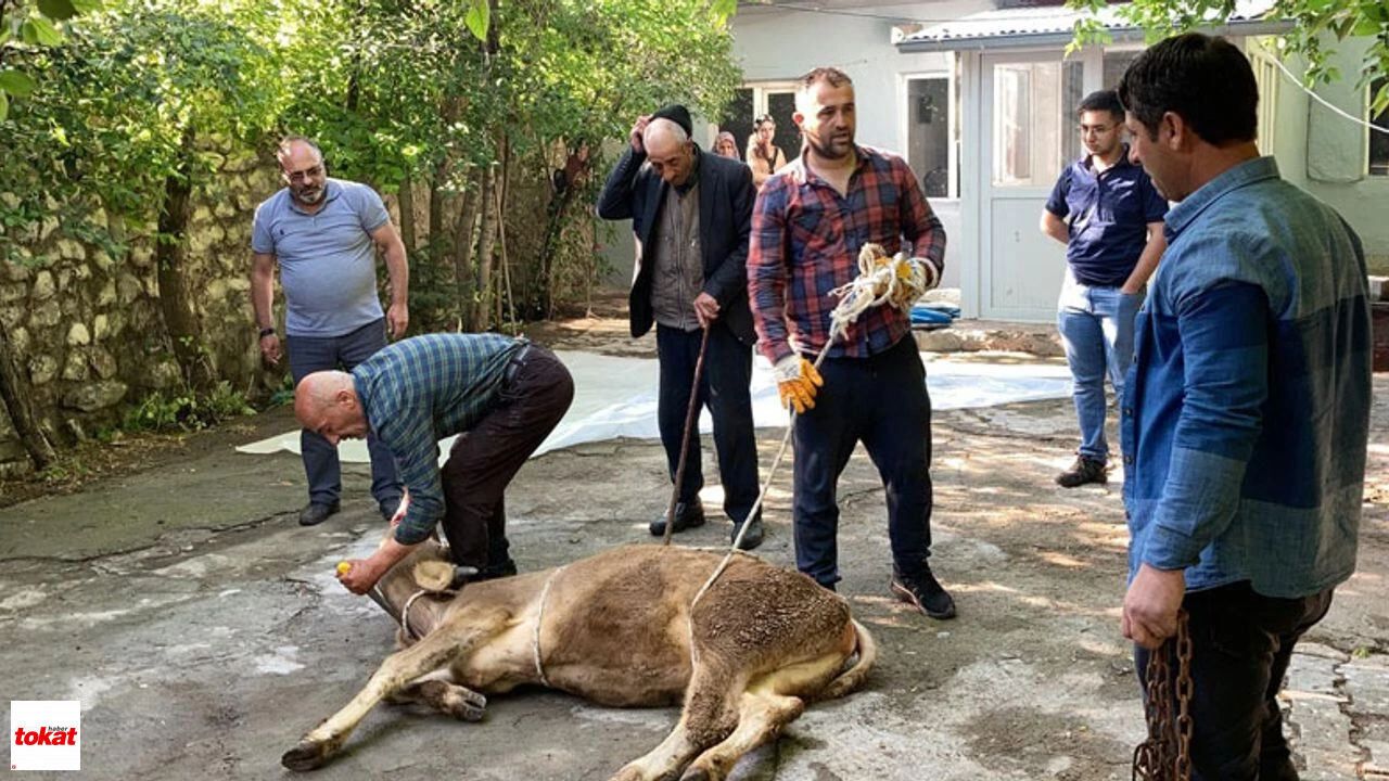 Psikologdan uyarı: 'Kurban kesimi çocuklara gösterilmemeli'