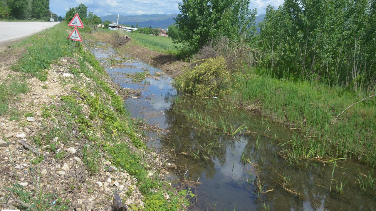 Kelkit Nehri'nde taşkın riski devam ediyor! Acil önlem şart