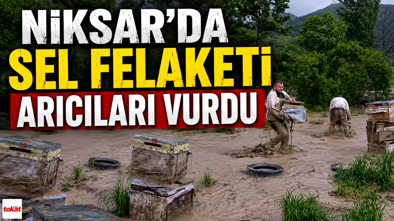 Niksar’da Sel Felaketi Arıcıları Vurdu