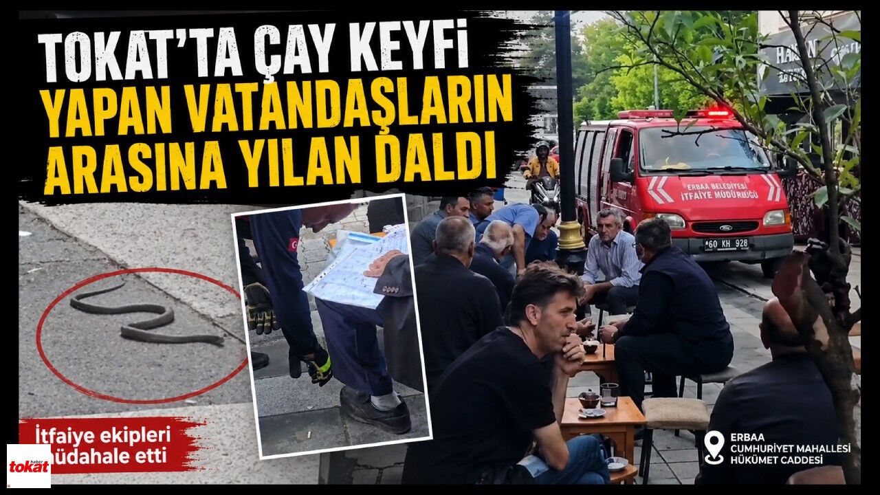 Tokat'ta çay keyfi yapan vatandaşların arasına yılan daldı