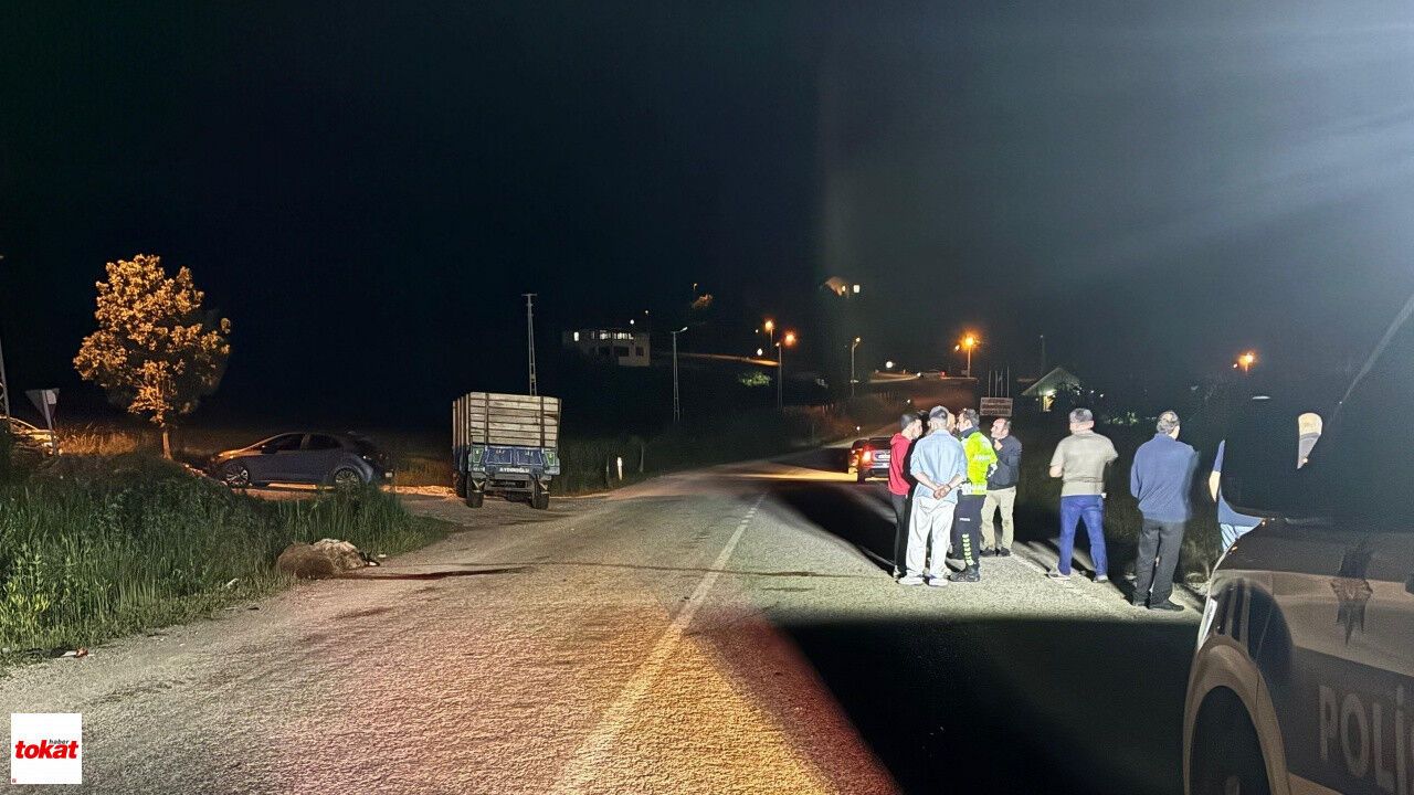 Tokat’ta Gece Yarısı Korkutan Kaza! Otomobil Koyun Sürüsüne Daldı: 5 Koyun Telef Oldu