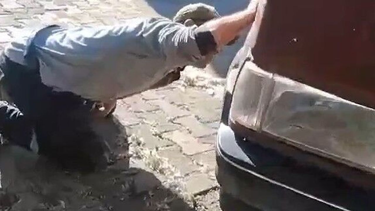 Tokat'ta aracın motor kısmına girdi, itfaiye ekipleri müdeha