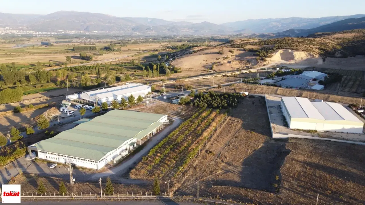 Tokat'a Yeni Yatırım Dalgası Geliyor Sanayide 24 Yıllık Soru