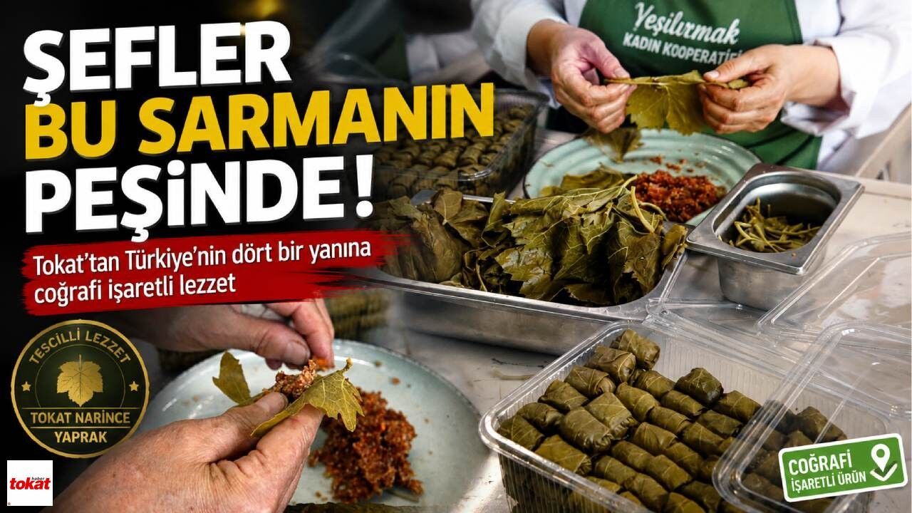 Şefler Bu Sarmanın Peşinde! Tokat'tan Türkiye'ye Lezzet Seferi
