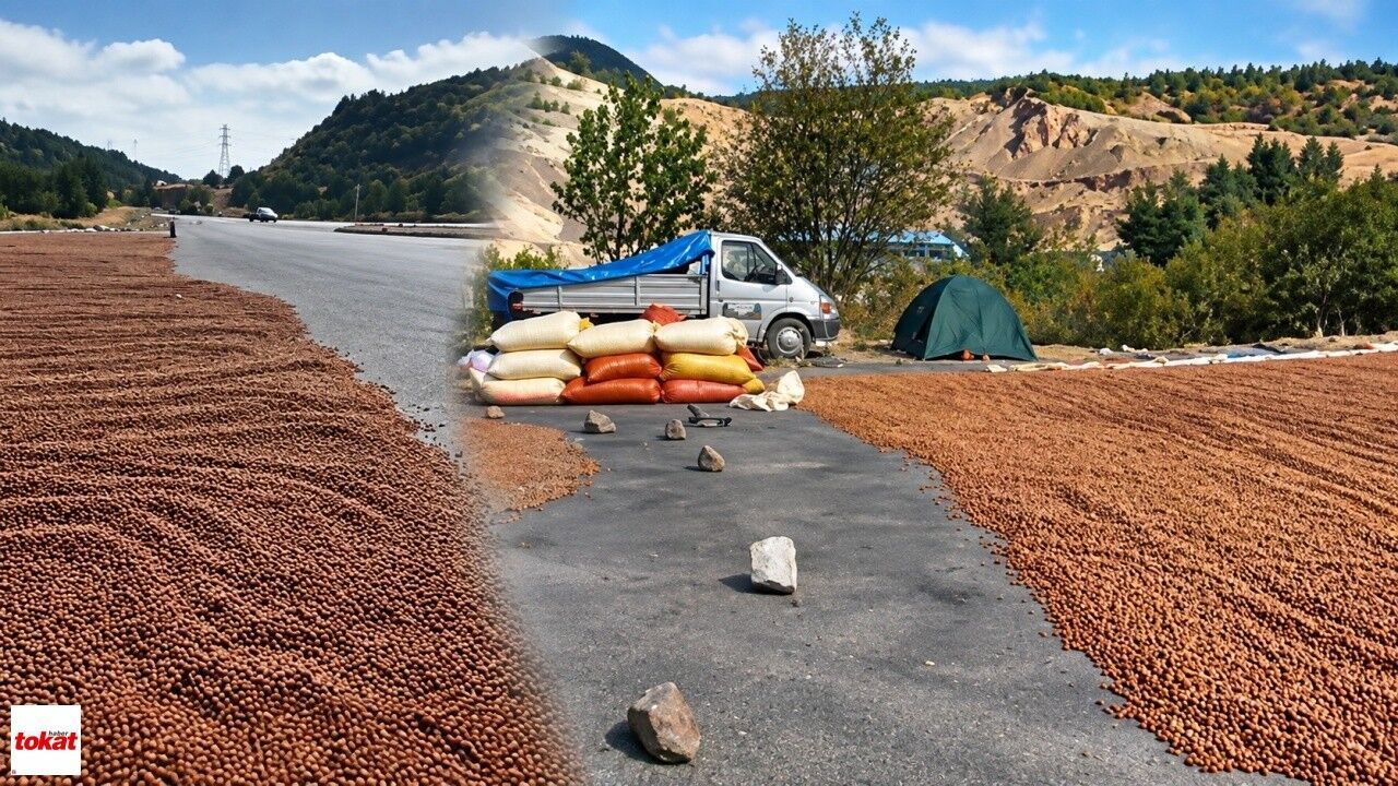Yağmur çilesi kilometrelerce yol yaptırdı: Soluğu Reşadiye’de aldı