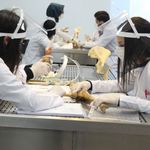 Lokman Hekim Üniversitesi heyeti Tokat ve Zile için yola çıkıyor
