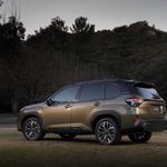 Subaru Forester Tan Bir Yakıt Cimrisi 100 Kilometreyi Bedavaya Gidiyor Otomotiv Dünyası Şaştı Kaldı