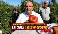 İlk kez tattı, lezzeti karşısında şaşkınlığını gizleyemedi: Bir tanesi 1 kiloyu geçiyor