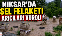 Niksar’da Sel Felaketi Arıcıları Vurdu