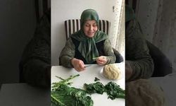 Tokat'da Pazı (Kara Lahana) Dolması Nasıl Yapılır