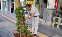 Soyadına yakışanı yaptı, işyerinin önü "Çiçek" gibi oldu