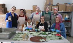 Karadeniz'e özgü "kokulu üzümü" ülkeye tanıtıyor