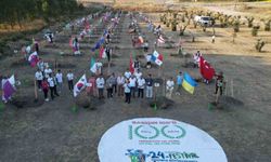 100 ülkenin gençleri dünya barışı için 100 zeytin fidanı dikti