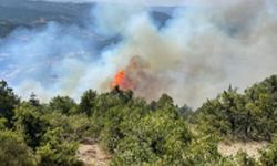 GÜNCELLEME - Bolu'da orman yangınına müdahale ediliyor