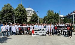 Sakarya, Zonguldak, Kocaeli ve Düzce'de veterinerler şiddet olaylarına tepki amacıyla iş bıraktı