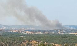 Çanakkale’de bu sefer tarihi yarımada yanıyor