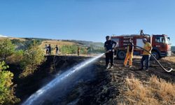 Amasya'da örtü yangını büyümeden söndürüldü