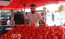 Tokat'ta vatandaşlar kışlık yiyecek hazırlıklarına başladı