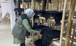 Giresun ladin ormanlarında biyolojik mücadele devam ediyor