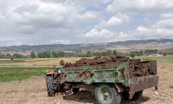 El frenini çekmeyi unuttuğu traktörün altında kaldı