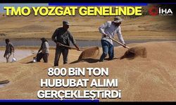 TMO Yozgat genelinde 800 bin ton hububat alımı gerçekleştirdi