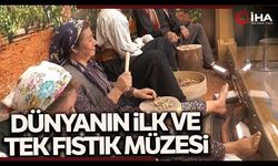 Fıstığın başkenti Gaziantep’te fıstığın tarihine yolculuk