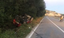 Kastamonu'da karacaya çarpmamak için manevra yapan kamyonet devrildi