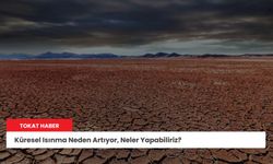 Küresel Isınma Neden Artıyor, Neler Yapabiliriz?