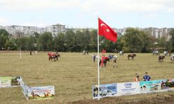 Samsun'da Rahvan At Yarışları Festivali düzenlendi