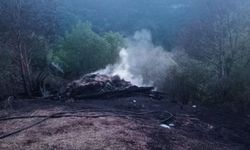 Kastamonu'da çıkan yangında samanlık ve baraka zarar gördü