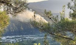 Karabük'te çıkan orman yangınına müdahale ediliyor