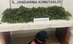 Samsun'da uyuşturucu operasyonunda 1 zanlı tutuklandı
