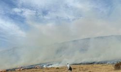 Bayburt'ta dağlık alandaki örtü yangını söndürüldü