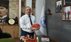 Coğrafi işaret tescilli İskilip çileğinden lokum ve kolonya üretildi