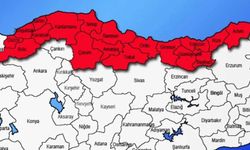 Ordu, Samsun, Sivas, Tokat ve Giresun İllerinde Gaz Çıkaran Böcek İstilası..