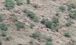 Siirt’te menengiç toplarken yamaçtan düştü