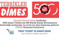 DİMES, Türkiye'nin 500 Büyük Sanayi Kuruluşu Listesinde