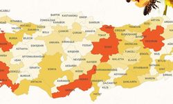 Tokat, Sivas, Ordu ve Samsun'un gerisinde kalmış, Amasya ve Yozgat'ı geçmişti...Bu yıl ne oldu?