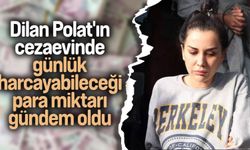 Dilan Polat'ın cezaevinde günlük harcayabileceği para miktarı gündem oldu