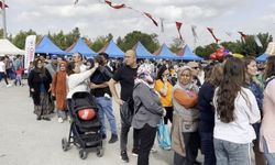 Bedava Hamsiye Hücum...5 Ton Hamsi Anında Tükendi