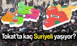 Tokat'ta kaç Suriyeli yaşıyor?