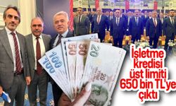 İşletme kredisi üst limiti 650 bin TL'ye çıktı
