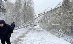 Bolu, Karabük, Sakarya ve Zonguldak'ta kar yağışı