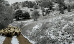 Tokat, Sinop ve Kastamonu'da kar ve fırtına hayatı olumsuz etkiliyor