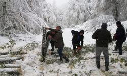 Bolu'da yayla yolunda mahsur kalan 4 kişinin yardımına ormancılar yetişti