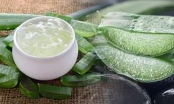 Rüyada Aloe Vera Görmek: Yenilik, Arınma ve Umutların Sembolü