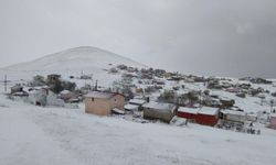 Tokat'ın Erzurumu beyaza büründü